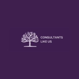 Consultants Like Us