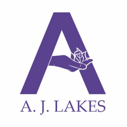 AJ Lakes Training Academy Ltd