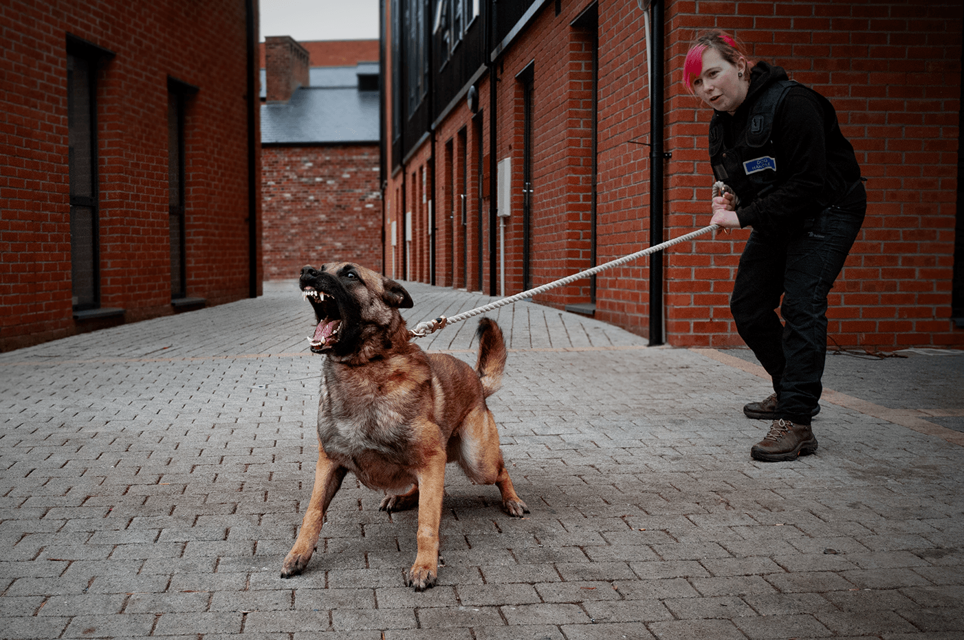 2070439ce5768affd338e5ebfea7bf46