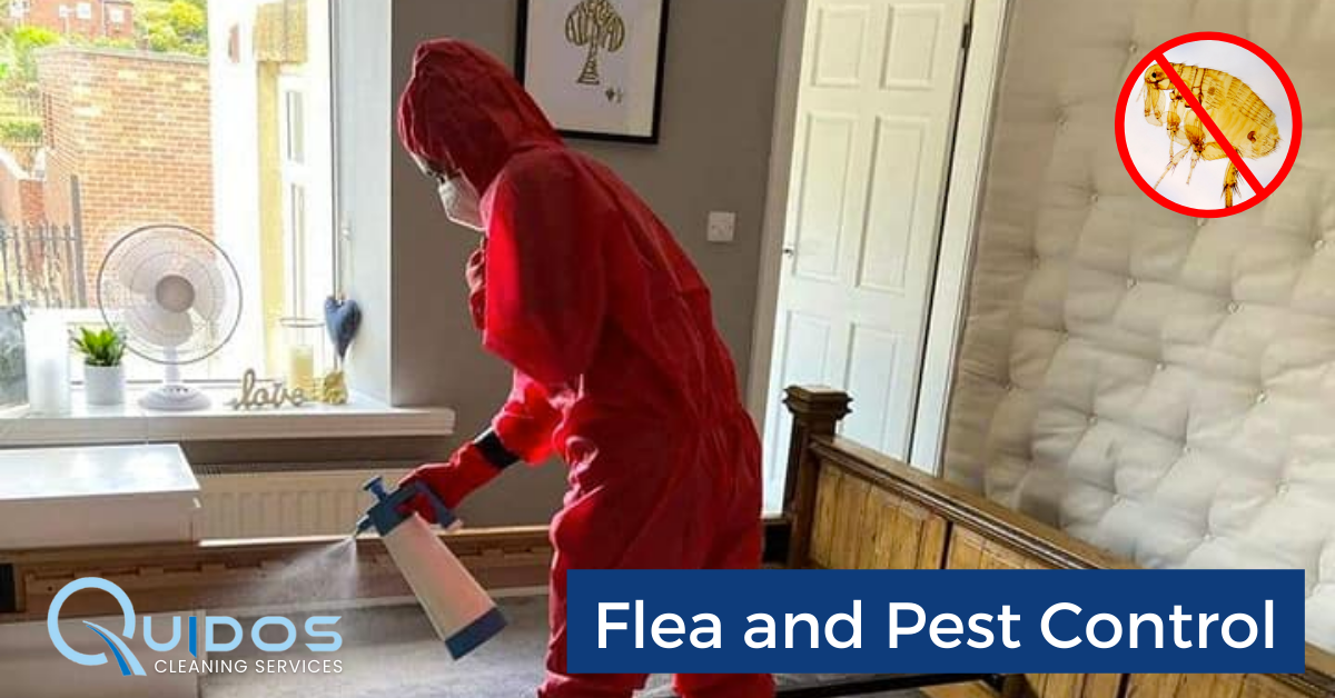 3639bce3c13420c7f17c6b27b472d61c