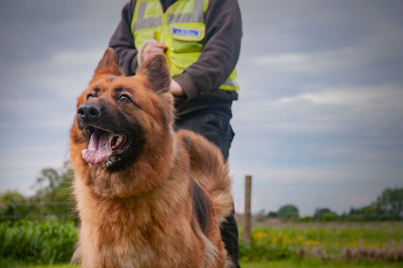 489ec867520697276f48d5ede7724181