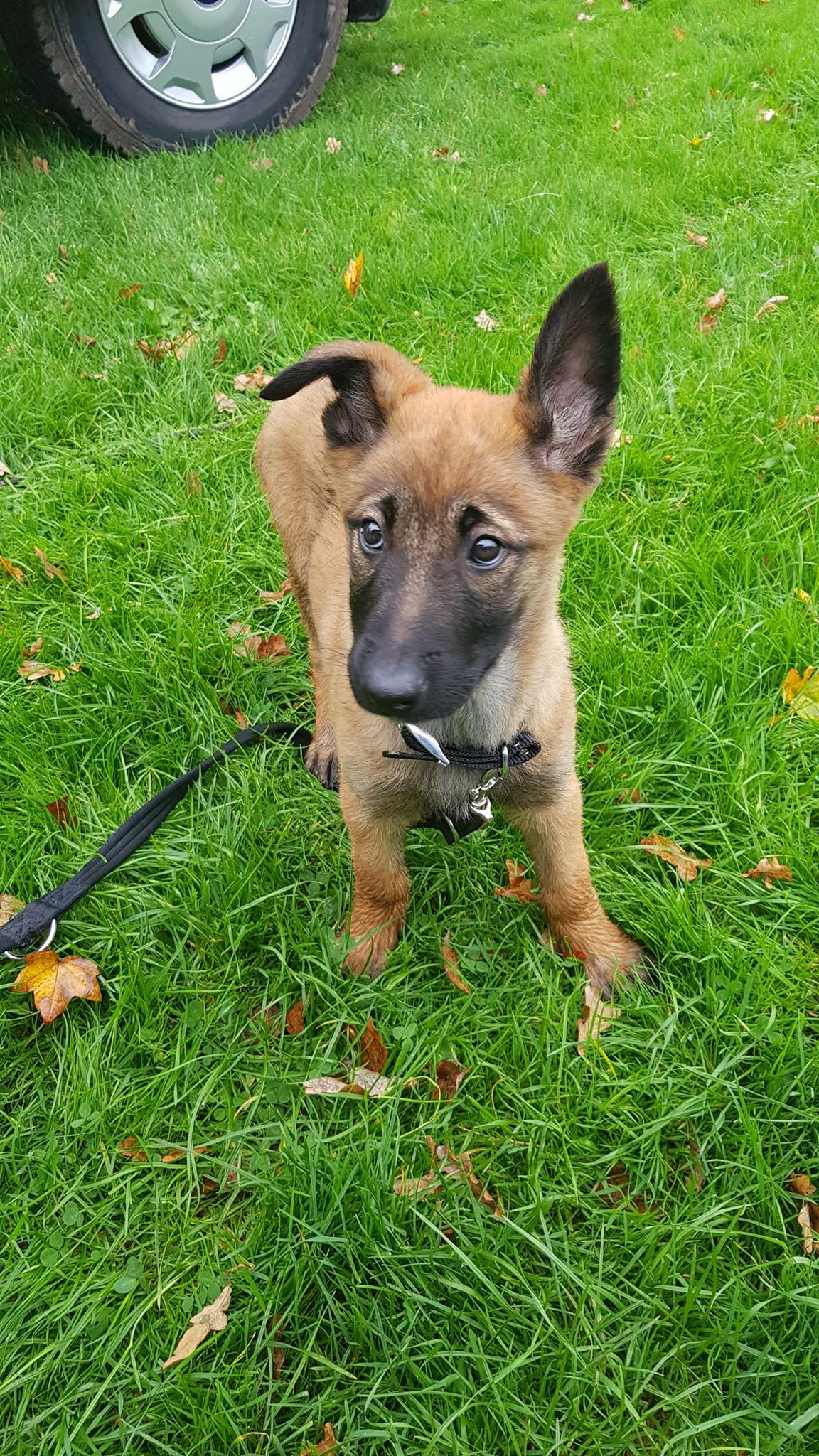 7022aa8b9de9b2dc779c59757917f4f8