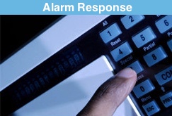 833b6548e8e1664e6871d64506c042a0