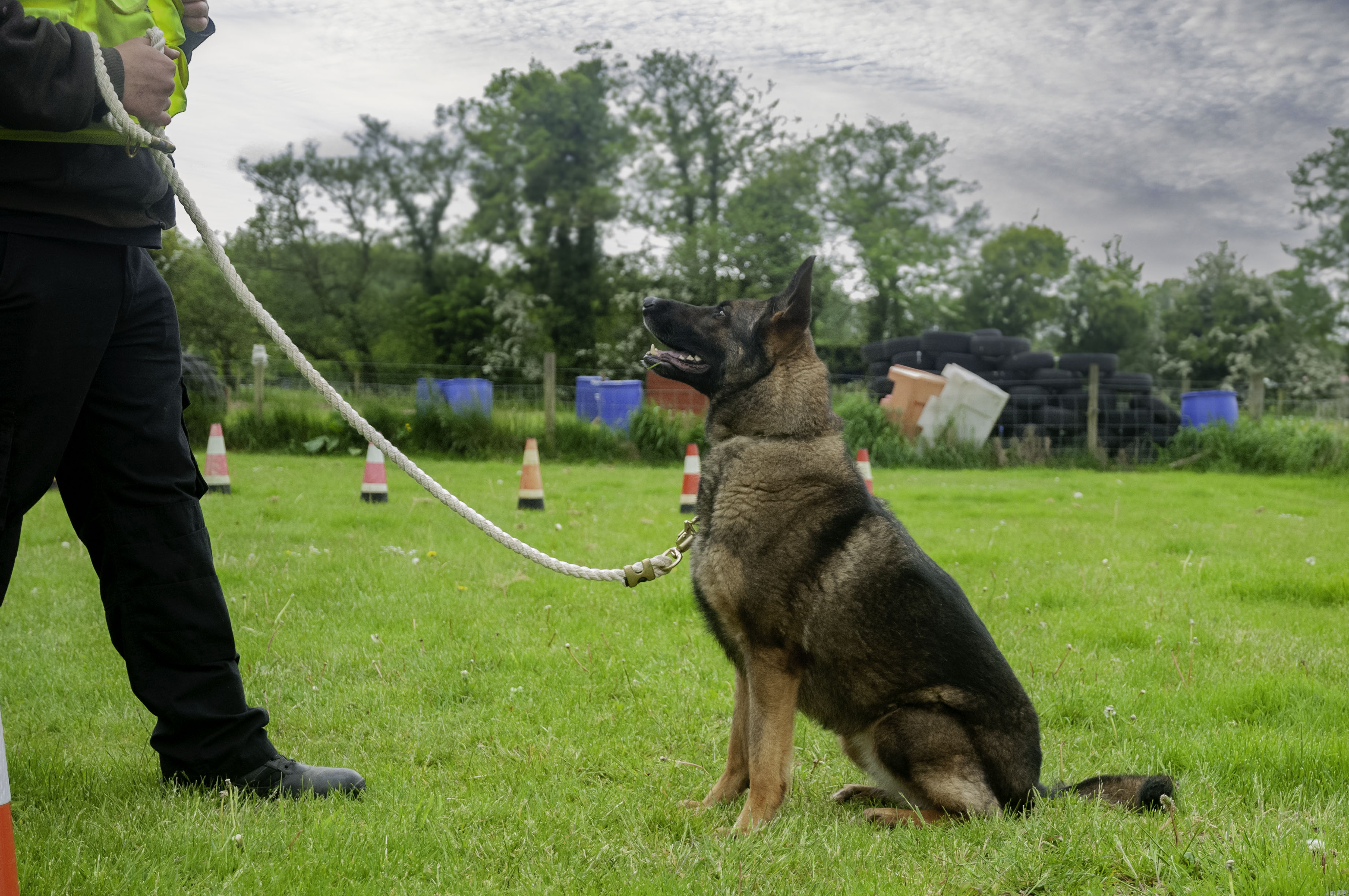 9e2bf2dc527085db32cc952d2b284057