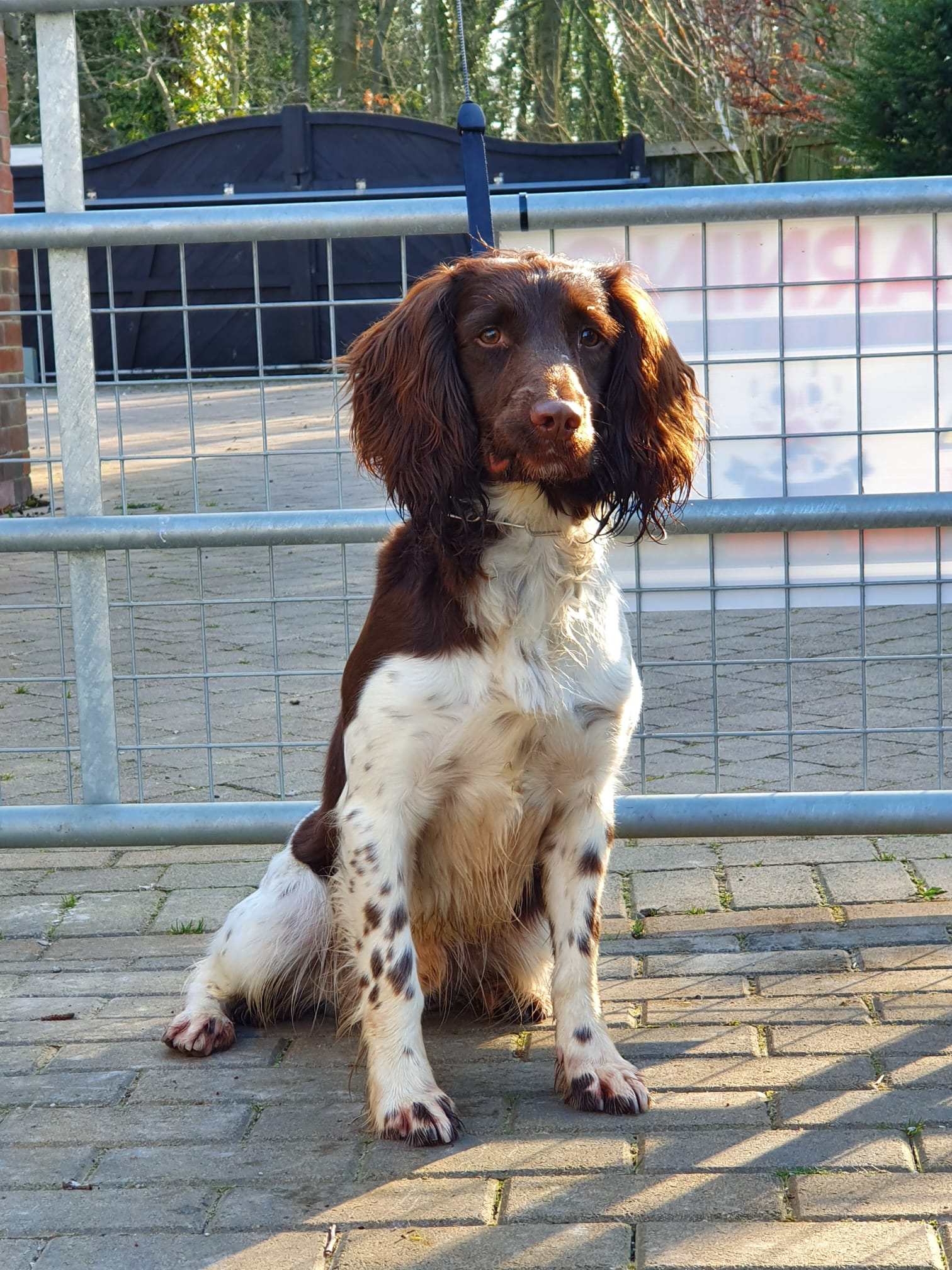 abc12eff050322ee3922e6a8e1142e8c