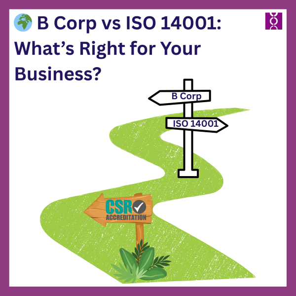 b-corp-vs-iso-14001-vs-something-else-whats-right-for-your-business