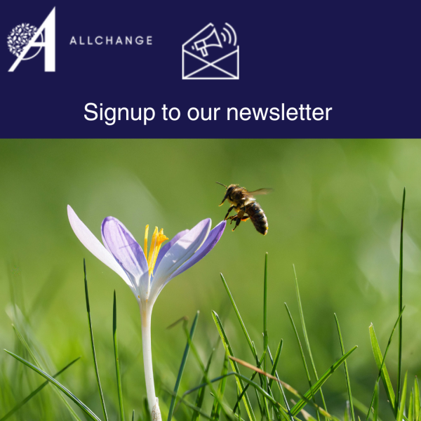 designed-to-be-shared