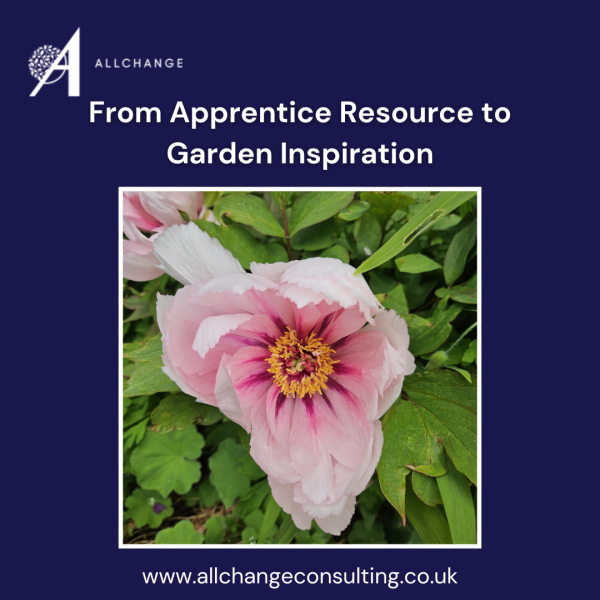 from-apprentice-resource-to-garden-inspiration