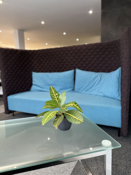 furnishing-the-future-why-refurbished-furniture-is-the-smartest-choice-for-schools-and-universities