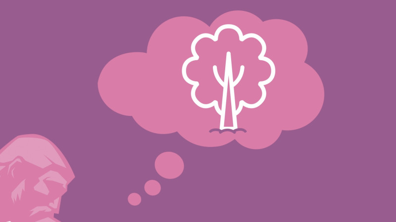 insider-tips-for-writing-winning-award-entries