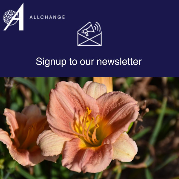 join-our-newsletter-today-2