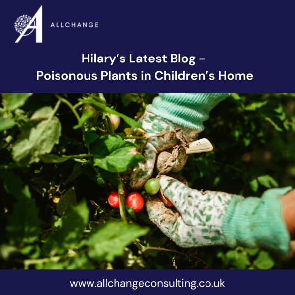 read-my-latest-blog