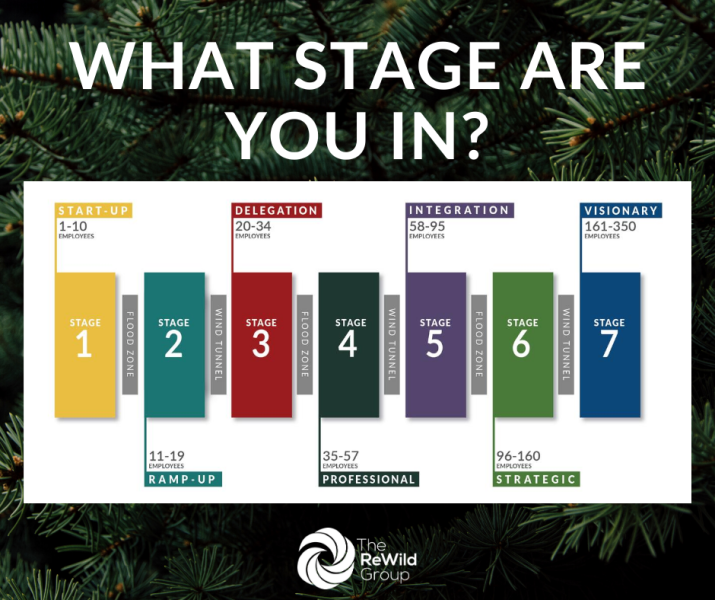 rewild-you-business-attracting-keeping-good-talent-1