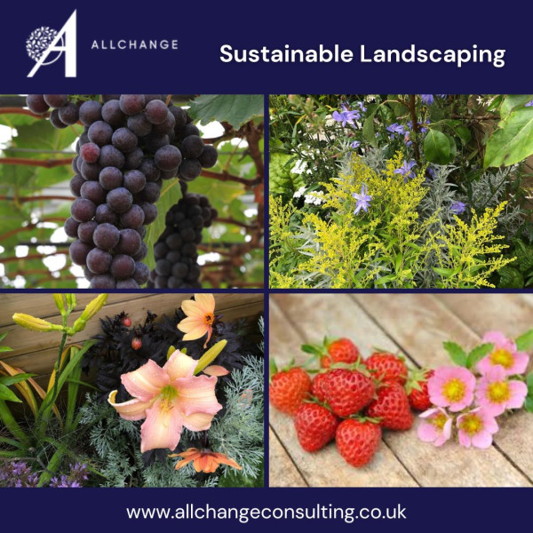 sustainable-landscaping