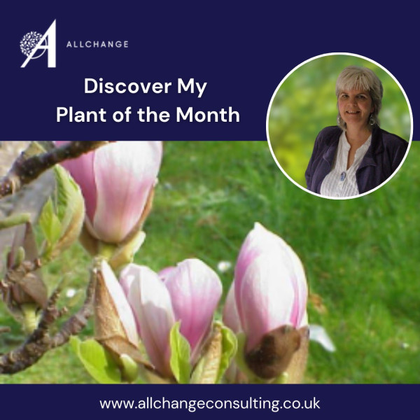 take-a-look-at-my-plant-of-the-month