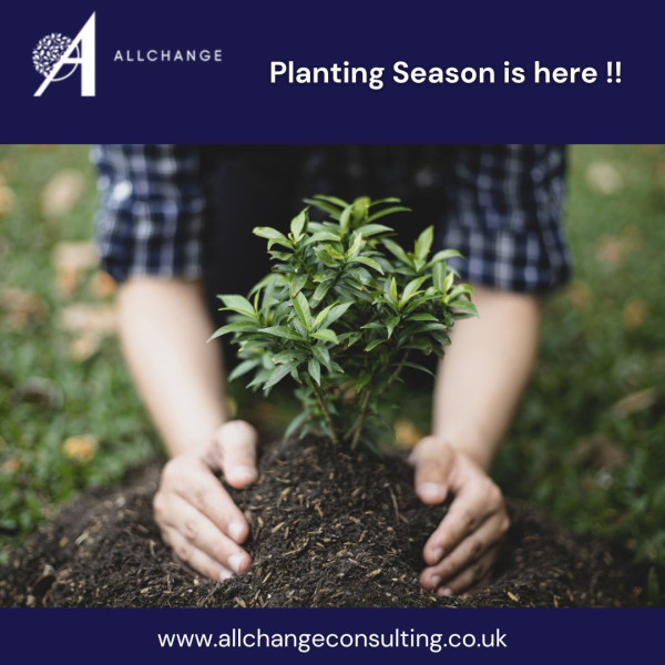 the-planting-season-begins-time-to-cultivate-resilient-landscapes